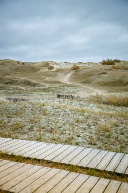 The unique landscape of the Dead Dunes in Curonian Spit, Lithuania, with sand dunes sparsely dotted with vegetation, and crossed with a wooden walking path clipart