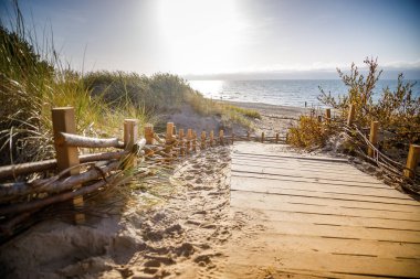 Litvanya, Palanga 'da sakin bir sahil. Kum tepelerini aşıp Baltık Denizi' ne doğru uzanan tahta bir sahil. Açık mavi gökyüzünün altında.