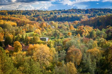 Litvanya 'nın Vilnius kentindeki Puckoriu atodanga, Pavilniai Bölgesel Parkı' ndaki bir sonbahar ormanının ortasında yeşil, sarı ve turuncunun parlak tonlarını sergiliyor.