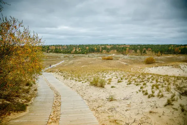 stock image In Curonian Spit, Lithuania, the Dead Dunes present a scene of sandy expanses with sparse vegetation and an overcast sky looming above. UNESCO World Heritage.