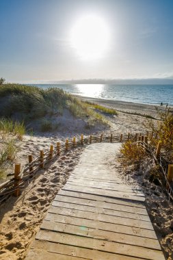 Litvanya 'nın Palanga kentindeki sahil, ziyaretçilere kumlu kum tepelerinden açık gökyüzünün altındaki denize doğru rehberlik eden ahşap bir tahta kaldırım manzarası sunuyor.