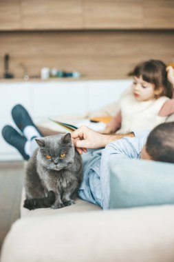 Turuncu gözlü gri bir İngiliz kedisi bej bir kanepede oturuyor ve arka planda elinde kitap tutan küçük bir kız var. Ev hayatının rahat bir anı..