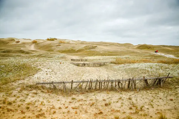 stock image Lithuania's Dead Dunes in Curonian Spit, where sand dunes with scattered vegetation lie beneath an overcast sky. UNESCO World Heritage.