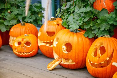 Bir dizi yüz ifadesi olan balkabağı oyulmuş, şenlikli bir sonbahar gösterisi düzenlenmiş. Cadılar Bayramı dekorasyon konsepti.