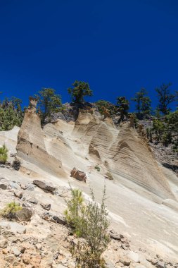 The unique hoodoos at Paisaje Lunar, Tenerife, rise from volcanic terrain, surrounded by vibrant pines under a sunny sky. These unique rock formations make the area a prime spot for geological tourism clipart