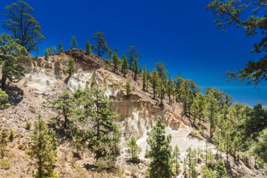 Paisaje Lunar, Tenerife 'deki bu ince kaya kuleleri çam ağaçları ve parlak mavi gökyüzü ile çevrilidir. Bu eşsiz kaya oluşumları bölgeyi jeolojik turizm için en önemli nokta haline getiriyor.