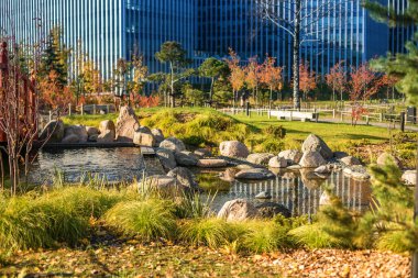 Kayalar ve yeşilliklerle çevrili küçük bir göleti olan sakin bir sonbahar şehir parkı. Kavram: doğanın kentsel bir ortama entegrasyonu