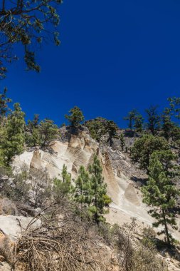 The lunar-like landscape of Paisaje Lunar in Tenerife features towering hoodoos set against darker volcanic soil, surrounded by green pine trees under a clear sky. These unique rock formations make the area a prime spot for geological tourism clipart