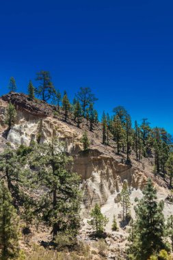 Tenerife 'nin Paisaje Lunar kentinde, uzun kabadayılar karanlık volkanik topraktan çıkarak yeşil çam ağaçları ve açık gökyüzü ile çarpıcı bir kontrast oluşturuyor. Bu eşsiz kaya oluşumları bölgeyi jeolojik turizm için en önemli nokta haline getiriyor.