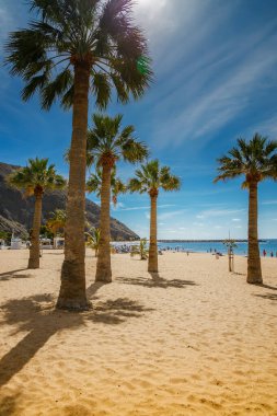 Golden sands and towering palms give Las Teresitas beach a serene, tropical appeal, set against a backdrop of clear blue skies and calm ocean waves clipart