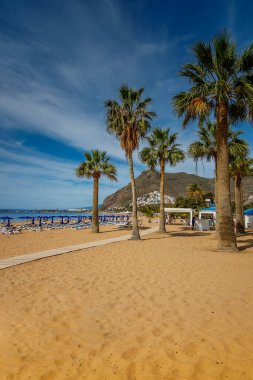 Tenerife 'nin Las Teresitas plajı, altın kum, palmiye ağaçları ve dağlık bir zemin üzerinde huzurlu bir okyanus, seyahat ve tropikal içerikler için ideal.