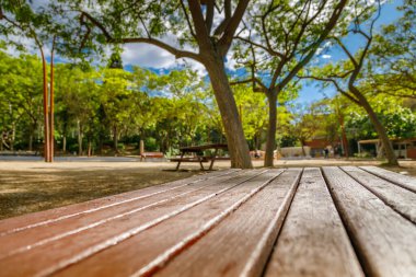 A mockup with wooden picnic table in a park, with the surface of the table in focus and the background slightly blurred. Perfect for themes of outdoor activities, relaxation, and family gatherings. clipart