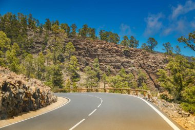 Bereketli çam ağaçları ve açık mavi gökyüzünün altındaki kayalık araziyle çevrili bir dağ yamacının etrafındaki dolambaçlı yollar. Bu manzaralı yol Tenerife 'nin büyüleyici doğal güzelliklerini sunuyor.
