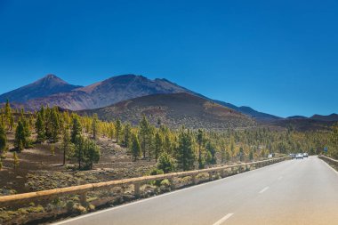 Tenerife Adası 'ndaki Teide Dağı' na giden yol volkanın ve etrafındaki çam ormanının çarpıcı manzarasını sunuyor. Açık mavi gökyüzü bu manzaranın doğal güzelliğini arttırır.