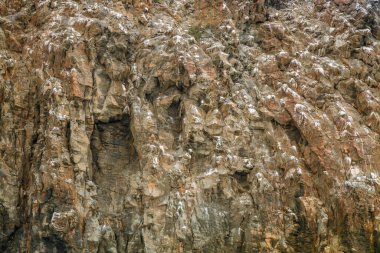 Karmaşık kaya oluşumları, açık bir günde doğal ışık tarafından vurgulanan çeşitli dokular ve renkler gösterir. Yüzey, çarpıcı manzaraya katkıda bulunan yıpranma şekillerini ortaya çıkarıyor..
