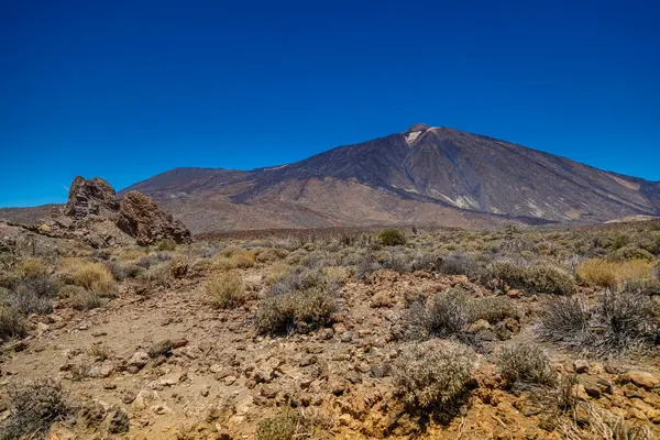 Teide Dağı 'nın manzarası, Tenerife' nin ikonik volkanı, berrak mavi gökyüzünün altında engebeli kurak bir manzarayla çevrili. Eşsiz kaya oluşumları dramatik araziye ekleniyor.