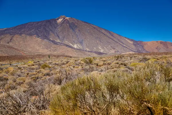 Teide Dağı 'nın Tenerife, İspanya' da engebeli bir volkanik arazide yükselmesi büyüleyici bir manzara. Açık mavi gökyüzü, dağların engebeli yamaçlarıyla ve çorak önplanıyla çelişiyor.