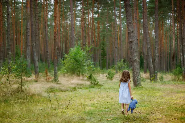 Açık mavi elbiseli genç bir kız sisli bir ormana giriyor, elinde doldurulmuş bir oyuncakla gökdelendeki ağaçlara bakıyor. Nostalji, macera ve duygusal bağlılık teması çocukluk rüyalarının güvenli ama gizemli bir keşfini resmediyor.