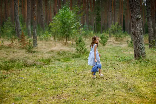Yükselen ağaçlarla çevrili gür bir çam ormanına doğru yürüyen bir çocuk. Bu sahne çocukluk merakını, masumiyeti ve bilinmeyene doğru gelişimi ve kendini keşfetmeyi sembolize eden bir yolculuğu çağrıştırıyor.