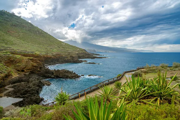 Teraslı tepeleri, tropikal bitkileri ve Tenerife El Sauzal 'daki masmavi Atlantik sularına bakan ahşap yürüyüş yolu olan dramatik volkanik kıyı şeridi.