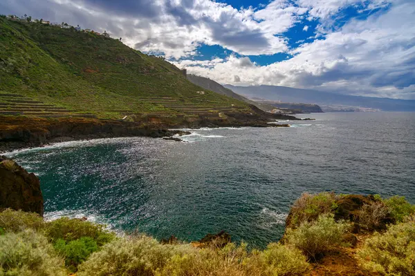 Tenerife 'deki El Sauzal' ın manzaralı kıyı manzarası, parlak okyanusla buluşan kayalıklarda yemyeşil bir manzara. Dramatik bulutlar canlı deniz manzarasını güçlendirir ve sakin bir manzara yaratır.