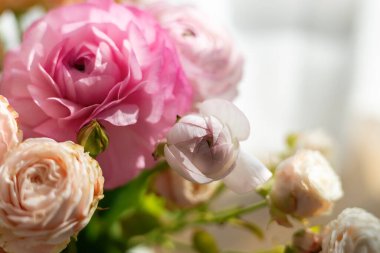 Şeftali ve pembe ranunculus çiçekleri gün ışığında parlıyor. Romantik düğün temaları, bahar kartları ya da zarif çiçek tasarımları için ideal.