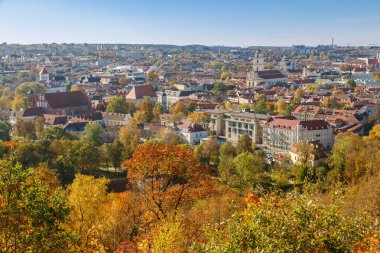 Panoramik bir manzara Vilnius 'u sonbaharda, açık mavi gökyüzünün altındaki güzel tarihi binaları çevreleyen sarı ve turuncu renkli canlı ağaçlarla gösterir.