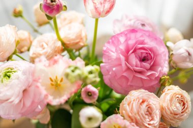 Yumuşak gün ışığında parıldayan şeftali ve pembe ranunculus çiçekleri romantik çiçek sahneleri ya da kutlama kavramları için güzellik ve zarafeti vurgular.