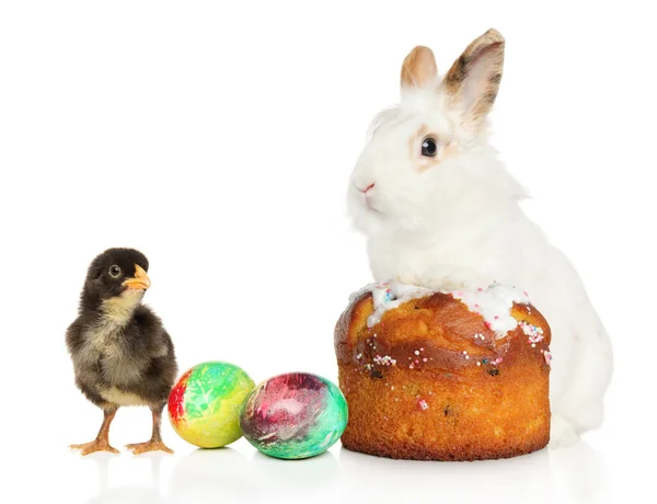 一只兔子坐在复活节蛋糕上 旁边是一只白色背景的小鸡 上面围着彩蛋 图库图片