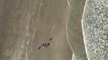 İHA 'nın deniz ve kıyı üzerinde en tepeden görünüşü. Yüksek kalite 4k görüntü
