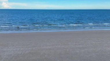 Yumuşak dalgaları ve açık gökyüzü olan boş tropik plaj. Yüksek kalite 4k görüntü