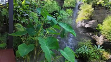 Puslu, yeşil yapraklarla çevrili bir şelale. Yüksek kalite 4k görüntü