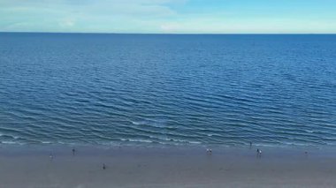 Yüksek katlı otelleri ve tropikal kıyıları olan şehir plajı. Yüksek kalite 4k görüntü