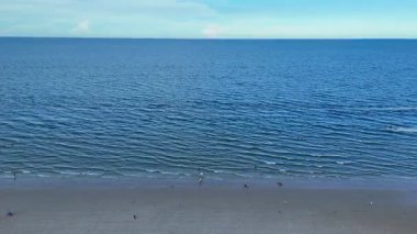 Sakin kıyı şeridi, berrak su ve açık gökyüzü. Yüksek kalite 4k görüntü