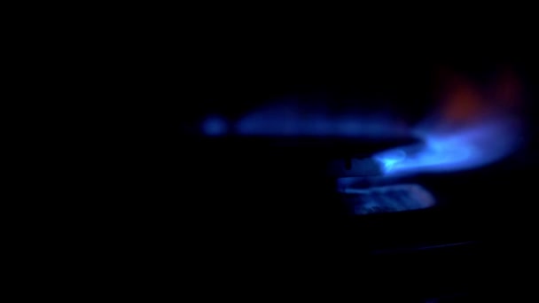 Газовая Плита Воспламеняется Черном Фоне Газ Включается Появляется Голубое Пламя — стоковое видео