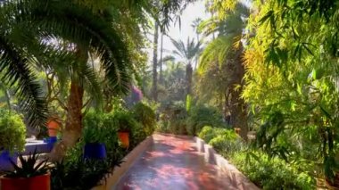 Marakeş, Fas 'taki gölgeli Majorelle Bahçesi' nde yürüyorum. Majorelle, Marakeş 'teki botanik bahçesinde çeşitli tropikal bitkiler. Gimbal sabitlendi.