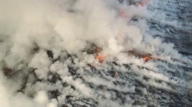 Vahşi ateşin ve duman bulutlarının üzerinde uçuyor. Aşırı sıcaklık ve iklim değişikliğinden kaynaklanan doğal bir felaket. Büyük duman bulutlarının havadan görünüşü ve sahadaki ateş. Çimen yangını, hava atışı. Büyük duman bulutları ve