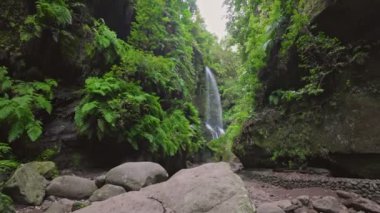 Cascada De Los Tilos - Waterfall surrounded by greenery on the island of La Palma, Canary. Greenery and moisture of mountainous part of the island. Tourist destination