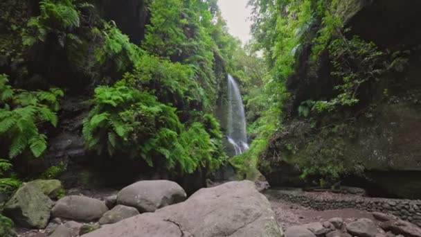 カサダ ティロス カナリア島のラ パルマ島の緑に囲まれた滝 島の山岳部の緑と湿気 観光地 — ストック動画