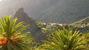 Gorge and Masca village surrounded by green tropical plants and palm trees. Mountain village in Masca canyon. Tenerife, Canary, Spain. Panoramic shot, UHD