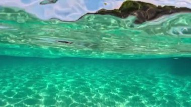 Half underwater slow-motion view of sandy beach bottom and rock with trees. Crystal clear sea water in Sitonia, Halkidiki, Greece. Shot from border of air and water with dome