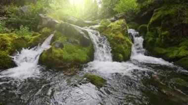 Mountain river in the forest with cascading waterfalls. Powerful stream of water between stones covered with moss. Clear drinking water. Gimbal shot, slow motion 2