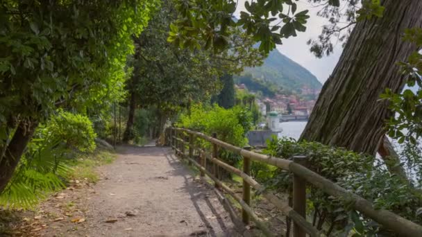 Caminhando Longo Caminho Perto Lago Como Itália Variedade Plantas Verdes — Vídeo de Stock
