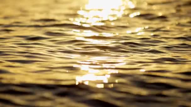 Reflection Golden Sunlight Sea Ocean Slow Motion Shot Sea Water — 图库视频影像