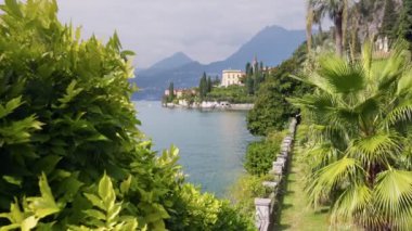 Lush greenery in the park on the shore Lake Como, Italy. Variety of green plants in the botanical garden of villa Monastero near Varenna village. Gimbal shot, mountains on background