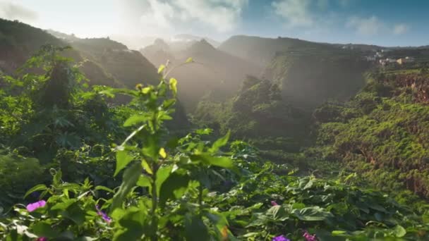 Naturaleza Las Islas Canarias Gimbal Toma Del Atardecer Exuberante Vegetación — Vídeo de stock