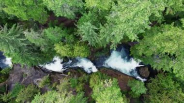 Yeşil ormandaki şelaleli dağ nehrinin yukarıdan görünüşü. Oregon, ABD