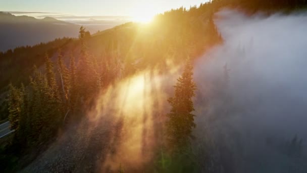 美国华盛顿奥林匹克国家公园的飓风岭 空中低空飞行的落日在群山中拍打着 阳光冲破了浓雾 日落时分在云中飞翔 — 图库视频影像