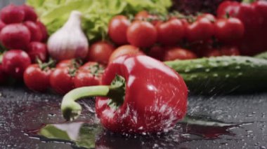 Taze olgun kırmızı biber ıslak ve koyu arka plana düşer. Arka planda organik taze çiftlik sebzeleriyle kırmızı çan biberi. Yavaş çekim.