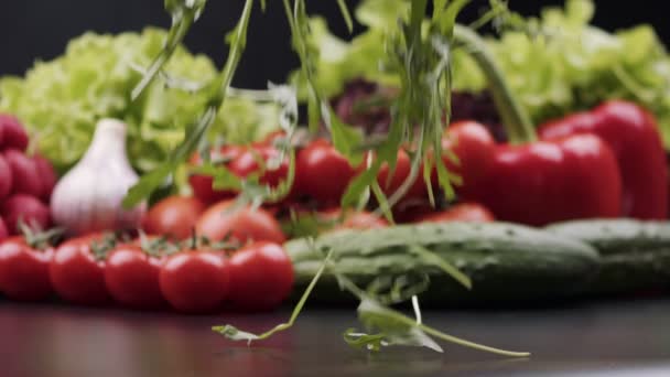 Свіжі Зелені Листя Руколи Падають Чорний Фон Органічні Свіжі Фермерські — стокове відео